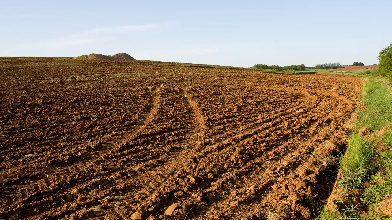 Photo d'un terrain agricole