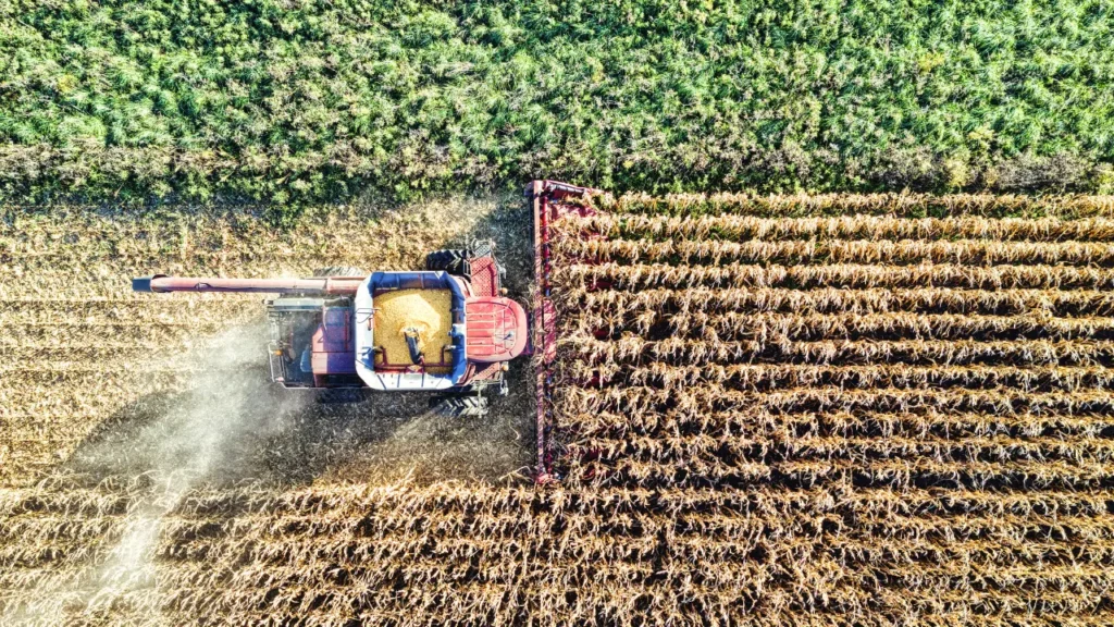 Vue aérienne moissonneuse-batteuse récoltant du maïs sur terrain agricole illustrant la valeur des terres de grandes cultures