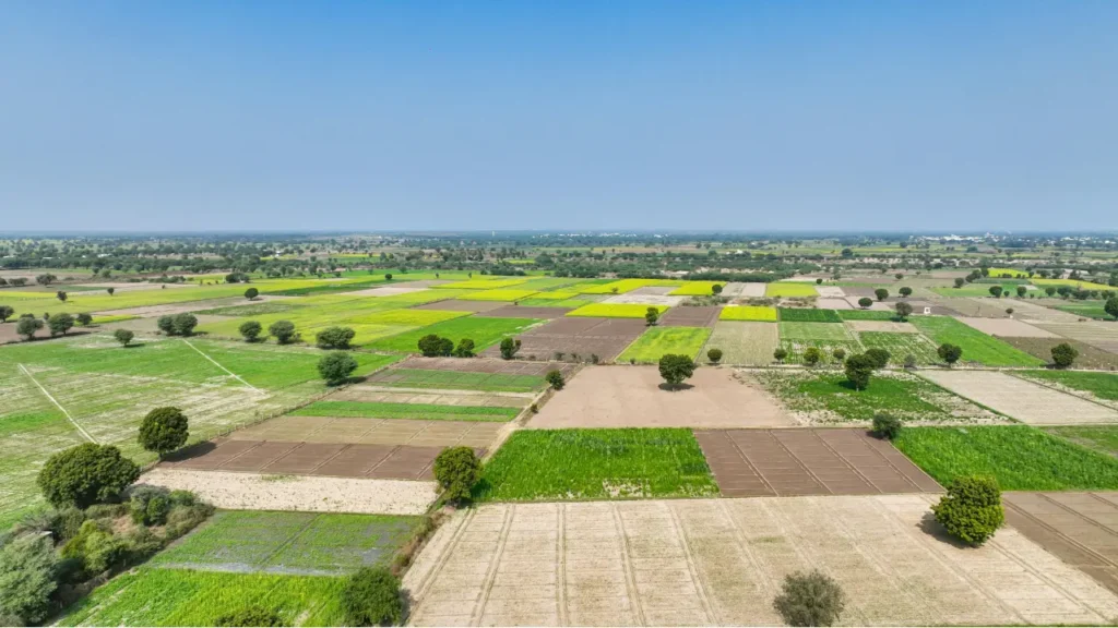 Vue aérienne de parcelles agricoles divisées illustrant la division parcellaire de terrains