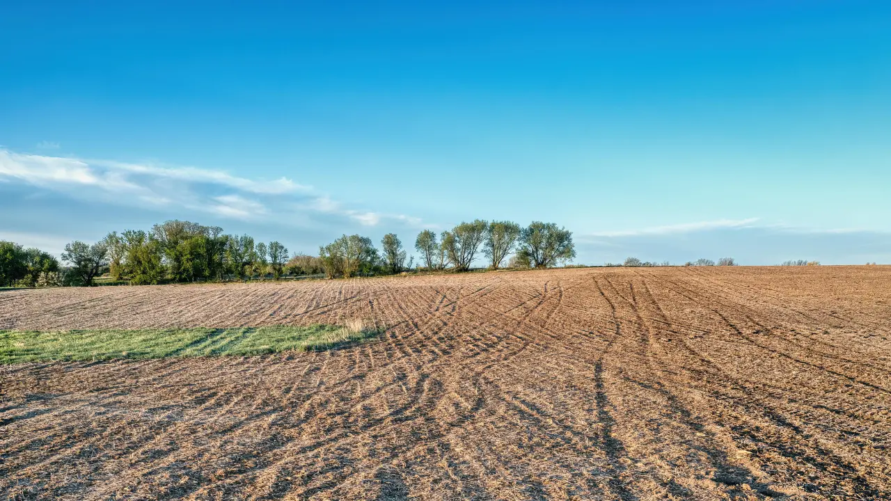 Photo d'un terrain non constructible