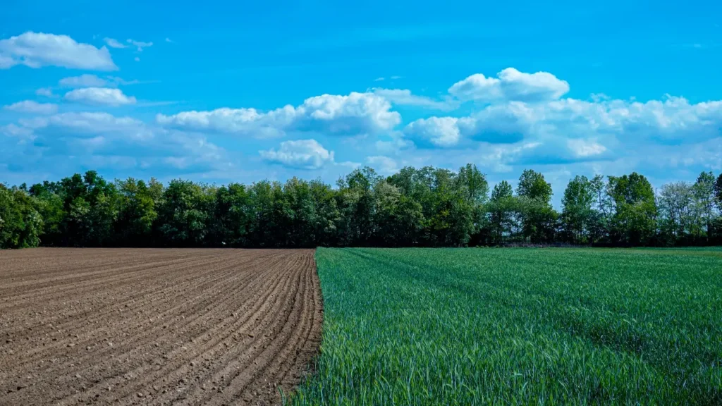 Division terrain en 2 lots : parcelle labourée et parcelle enherbée côte à côte illustrant le découpage foncier